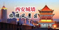 厨房强奸用力操我视频中国陕西-西安城墙旅游风景区