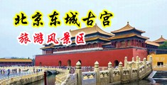 日本大鸡巴操骚逼视频中国北京-东城古宫旅游风景区